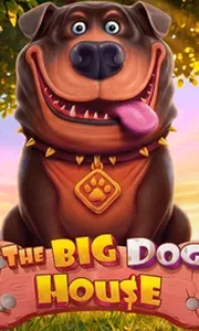 The Big Dog House
